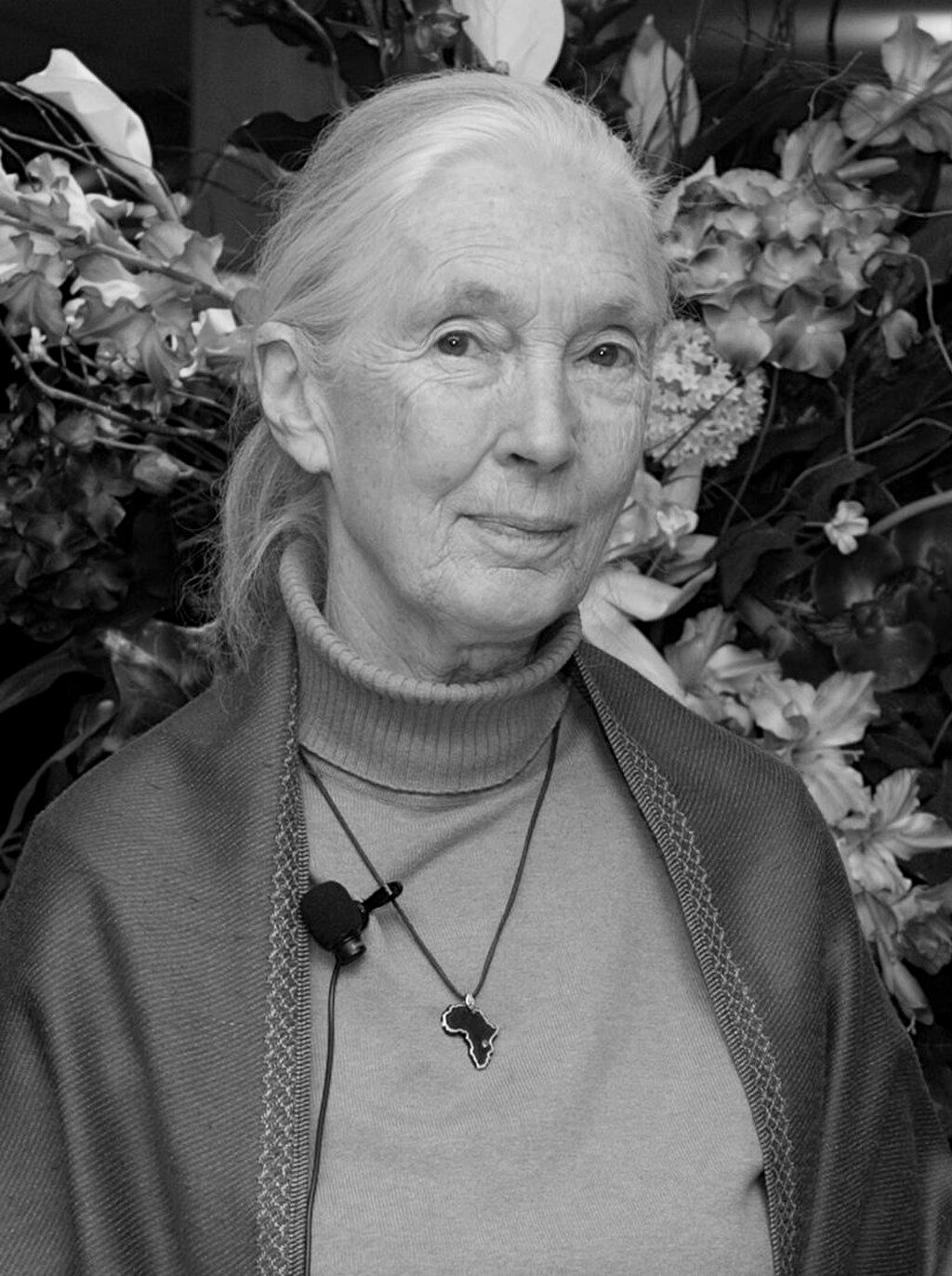 Portrait of Jane Goodall